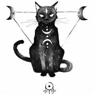 Meet your Posher, Braidon